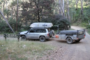 Pineapple Plat turn off