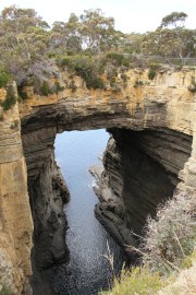 Tasman Arch