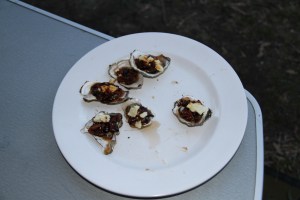 Fresh oysters chipped off the rocks.