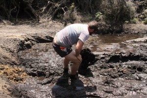 Lucky we bought bright orange max trax.