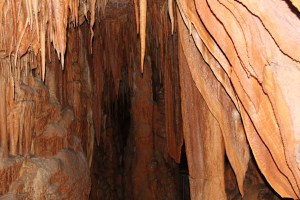 Mole Creek Caves