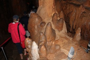 Mole Creek Caves