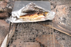 Trout for lunch thanks to the local fisherman  ("USA turtle man lookalikes")