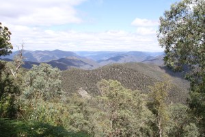 Views on the way to Wonangatta station